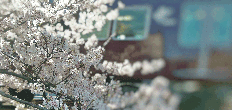 防災対策と利便性を増し安心で住みやすい最も輝いた街となるために 新たに「マナー向上」へ、更に力を注ぎます。